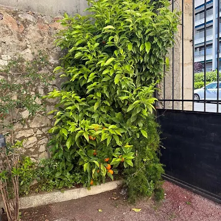 Bastide, * Cannes